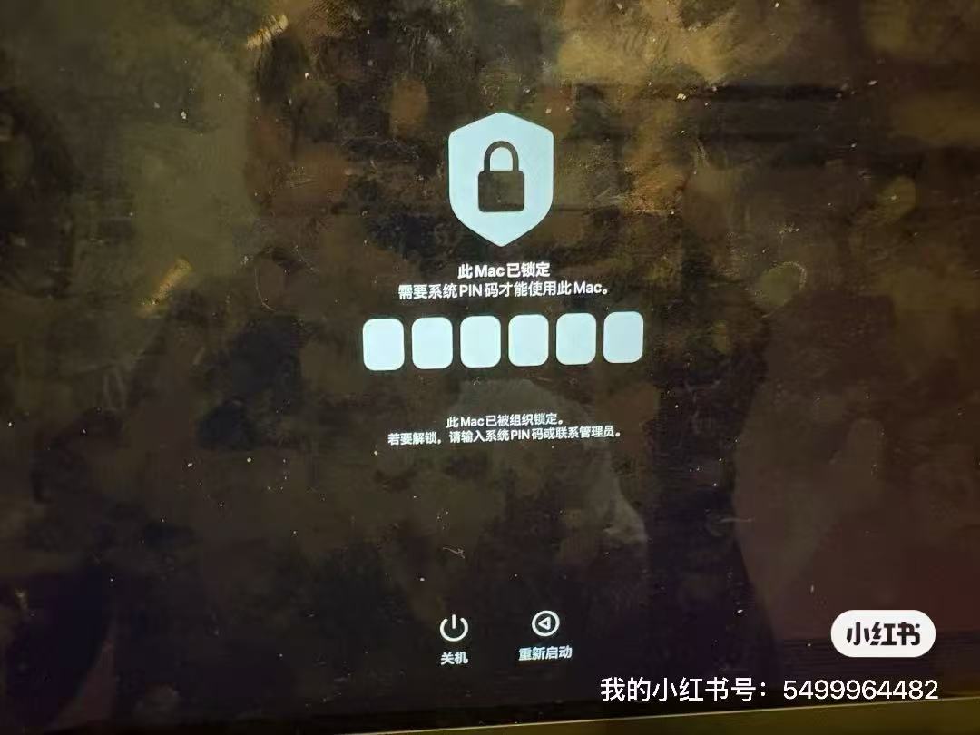 软件截图